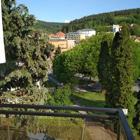 Beta 3*